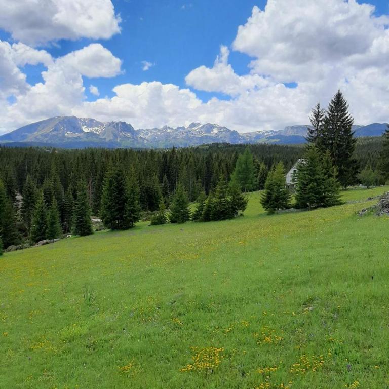 House in forest - Three-Bedroom House - 22