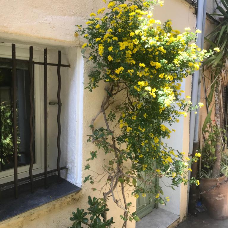 Artistic Antibes Apartment - Appartement 1 Chambre - 35