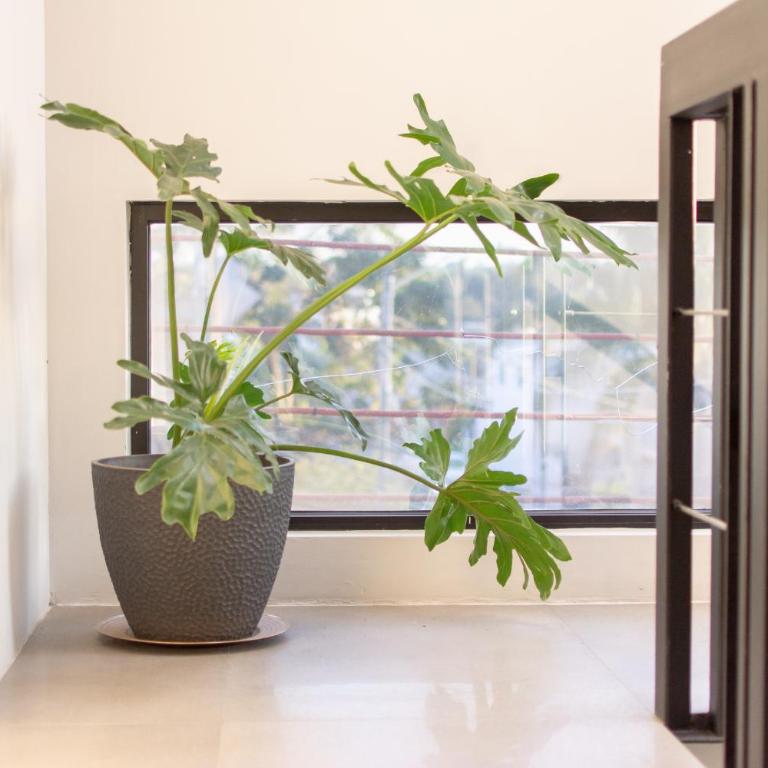 Lofts Santa Fe - Apartamento de 1 dormitorio - 10