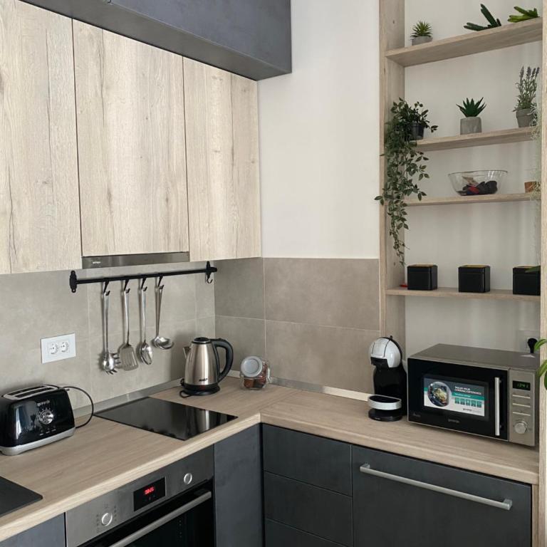 Apartment Pupin Star - City Centre - Apartman sa 1 Spavaćom Sobom - 10