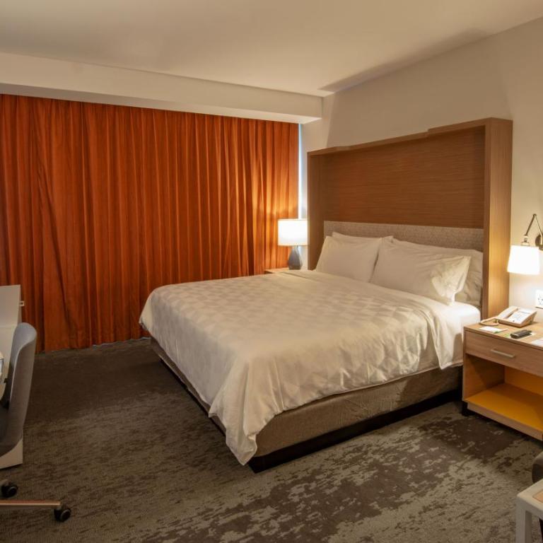 Holiday Inn & Suites - Merida La Isla by IHG - Habitación Estándar - Cama extragrande - 1