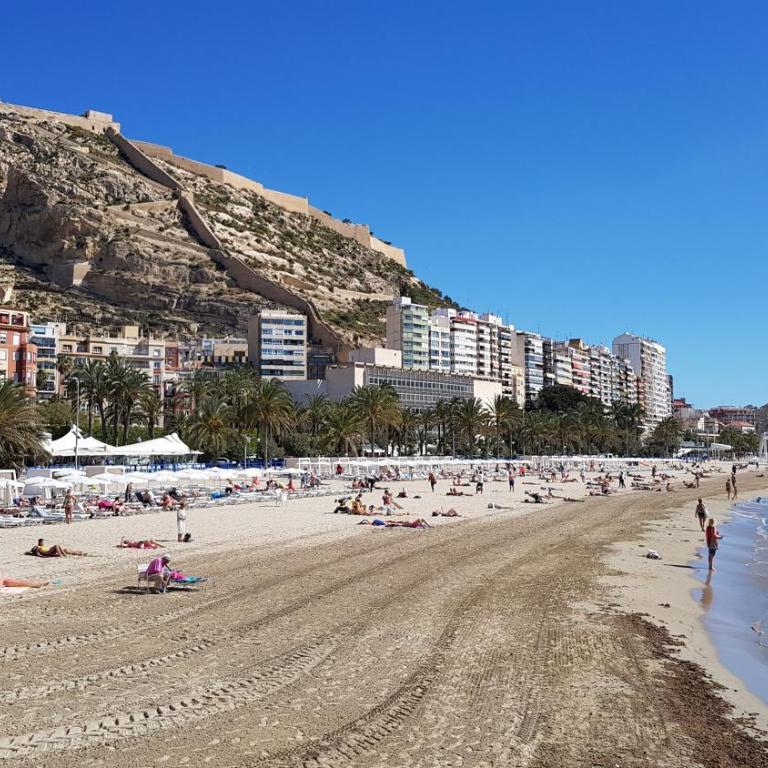 Very nice and modern flat, in Alicante Center - Apartment - 22