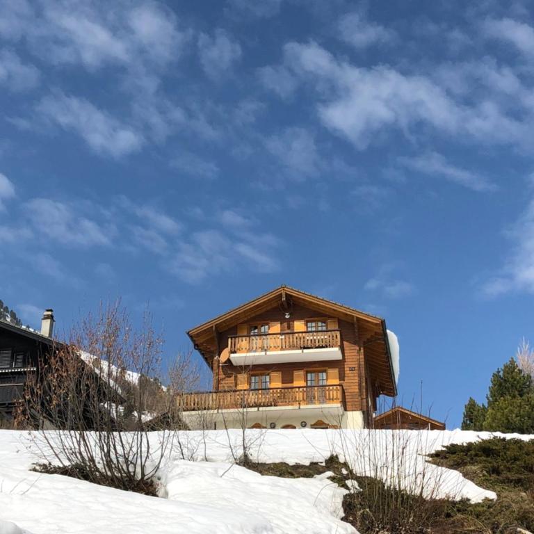 Chalet Michele Alpage - Ferienhaus - 67