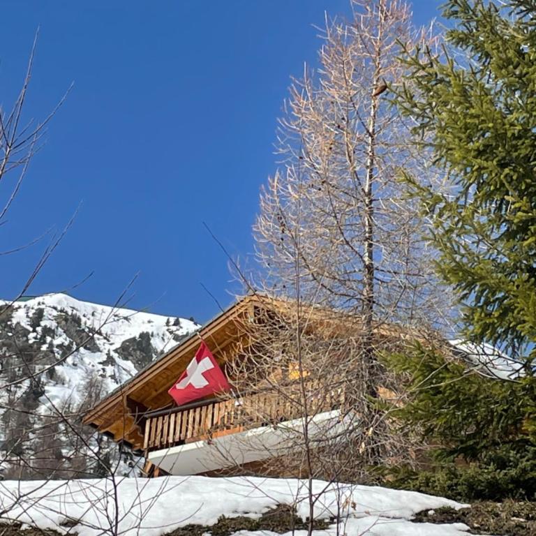 Chalet Michele Alpage - Ferienhaus - 66