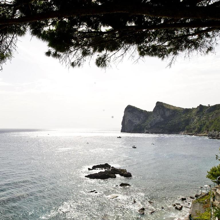 Villa Felicita - Villa with Sea View - 15