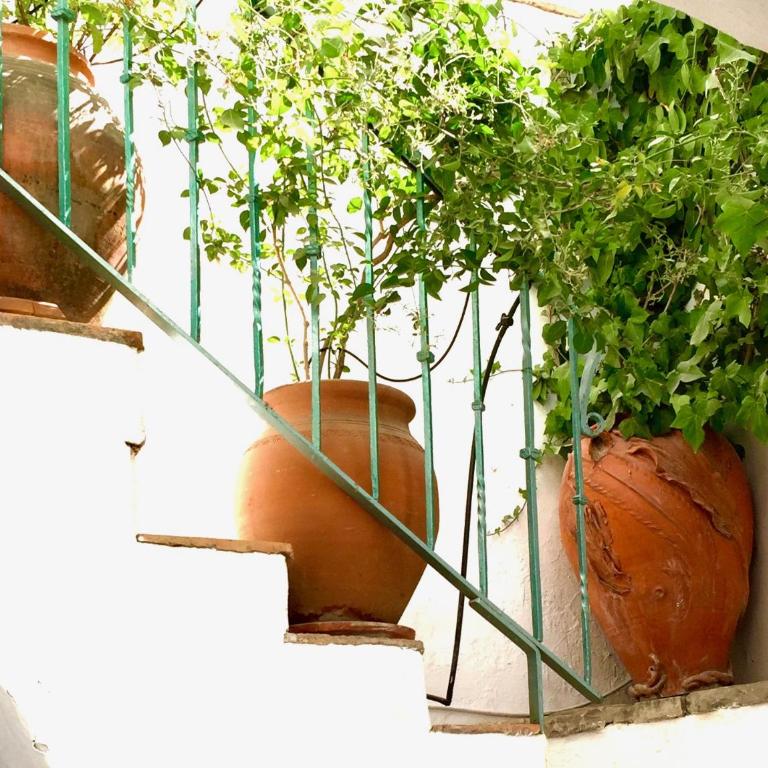 CASA DEL PATIO ÁRABE Casas Vejer Debra - Casa con 1 dormitorio - 25