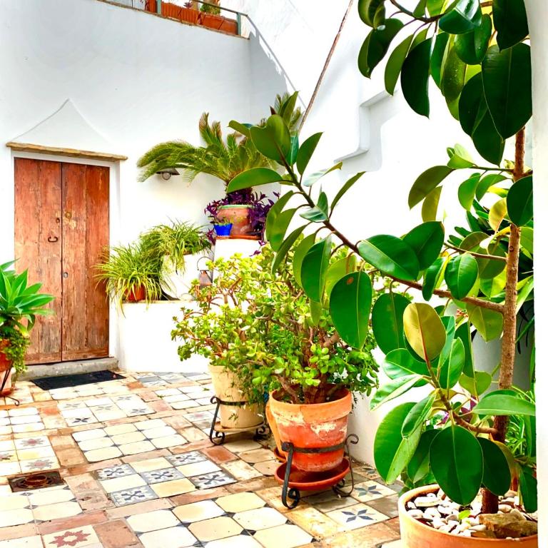 CASA LA FUENTE C Casas Vejer Debra - Casa con 1 dormitorio - 4