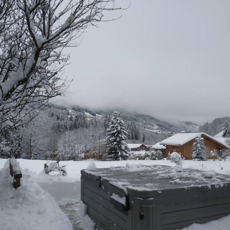 A4 km de Megève très joli studio avec jacuzzi ,vue sur les montagnes au calme - Studio - 40