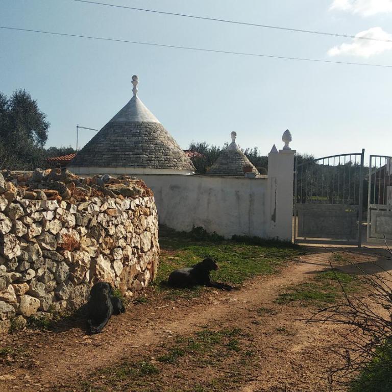 Piccolo Trullo Ostunese Le Jardin de Sophie' Centre de massage holistique - Appartamento con Vista Giardino - 70