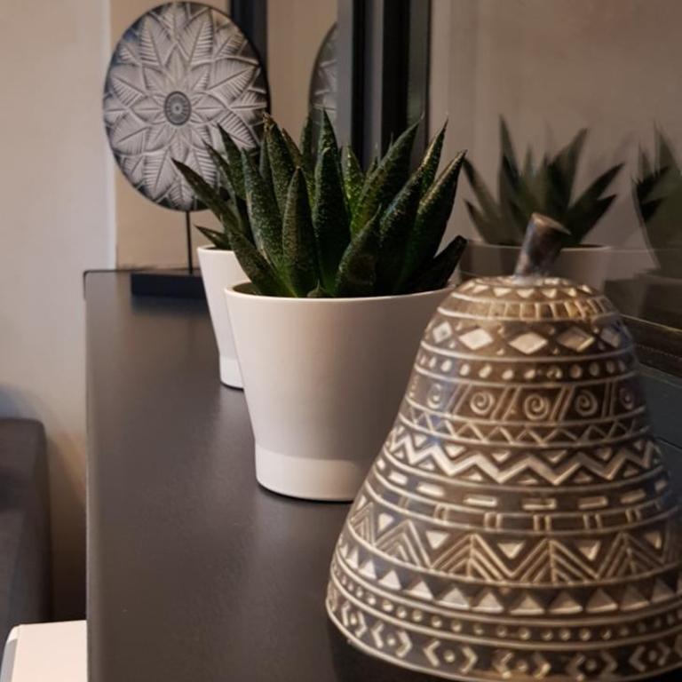 Titova Vila apartmani JOVANKA - Apartman sa 1 Spavaćom Sobom - 5