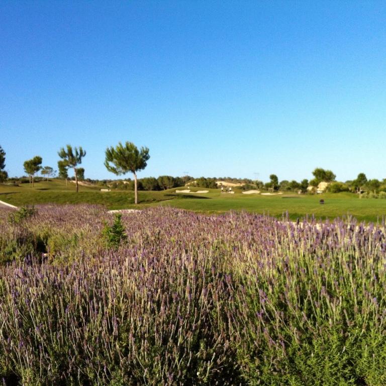 Villa in Spain at Las Colinas Golf & Country Club - Villa de 3 dormitorios - 59