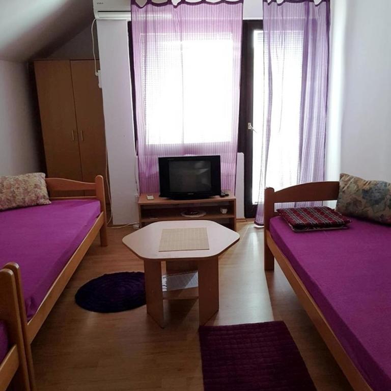 Apartments and rooms Villa Mačva - Banja Koviljača - Apartman sa Terasom - 6