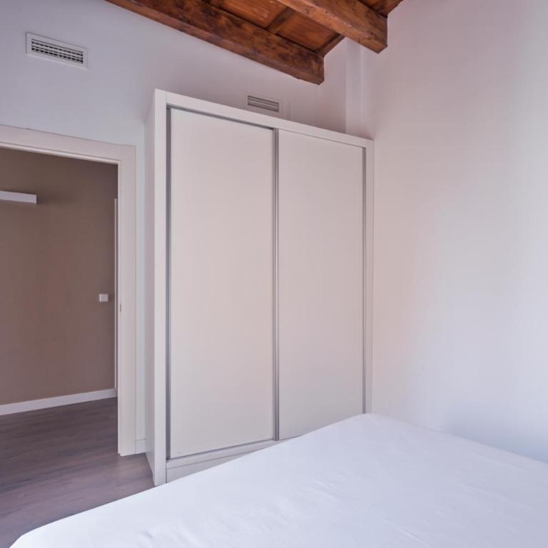 San Miguel, Luxury apartments. - Apartment with Terrace - 7