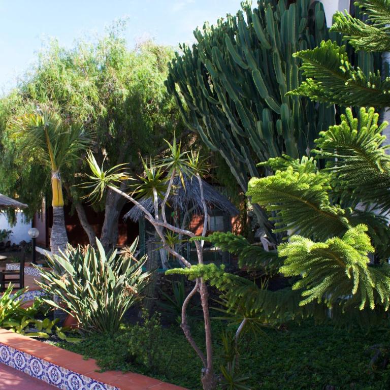 Miramar Boutique Apartments ADULTS ONLY CORRALEJO - Apartamento con vistas al jardín - 7
