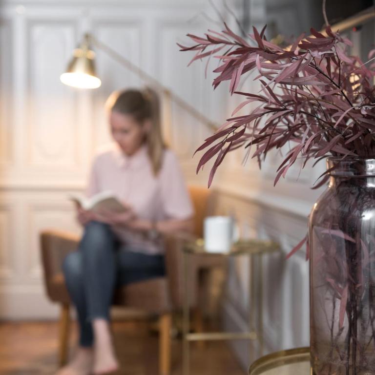 MiHotel Gailleton - Chambre « Mystère » - 16