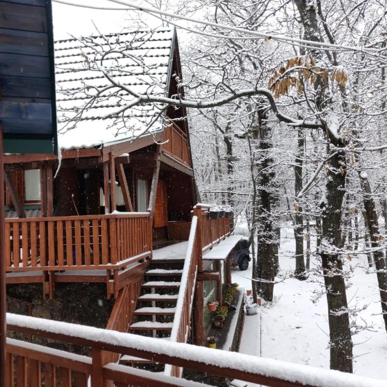 Matilde's Chalet Etna Nature House - Chalet - 71
