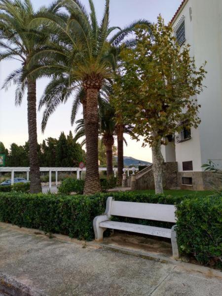 Apartamento Rey-Piscina - Apartamento - 72
