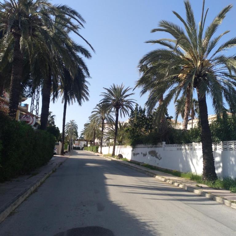 Apartamento Rey-Piscina - Apartamento - 67