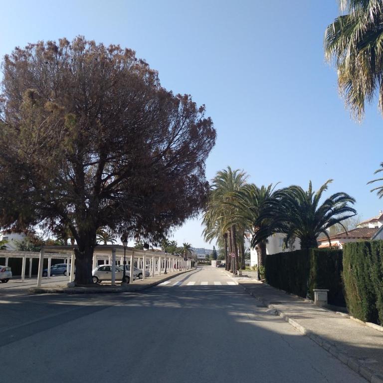 Apartamento Rey-Piscina - Apartamento - 69