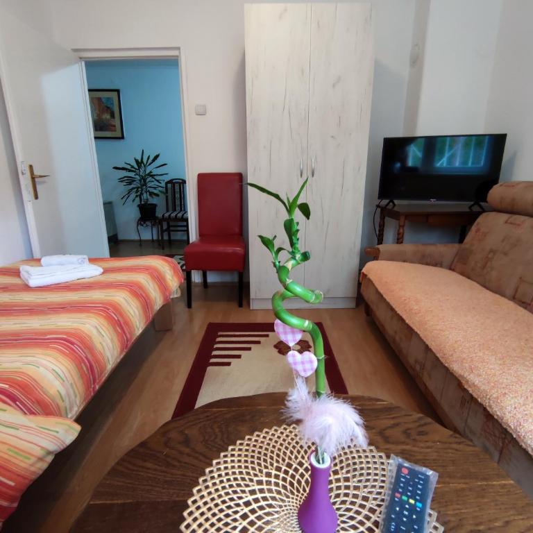 Lili apartman u parku - Apartman sa 2 Spavaće Sobe - 10