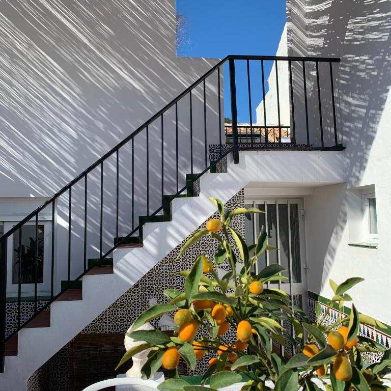 Palm House 10 - Two-Bedroom Apartment - 30