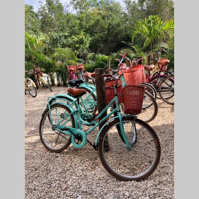 Tulum Apartment Boho Vibes - Apartamento de 1 dormitorio - 24