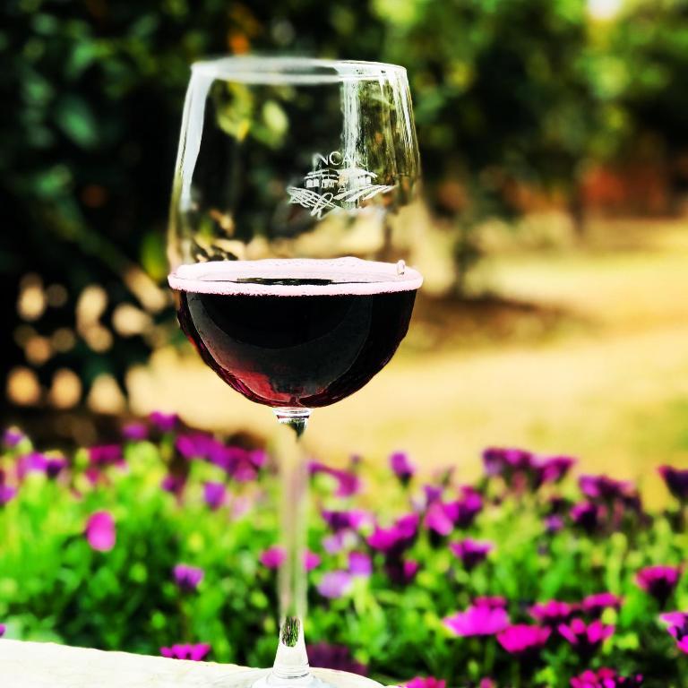 Finca Chavez - Villa de 2 dormitorios - 9