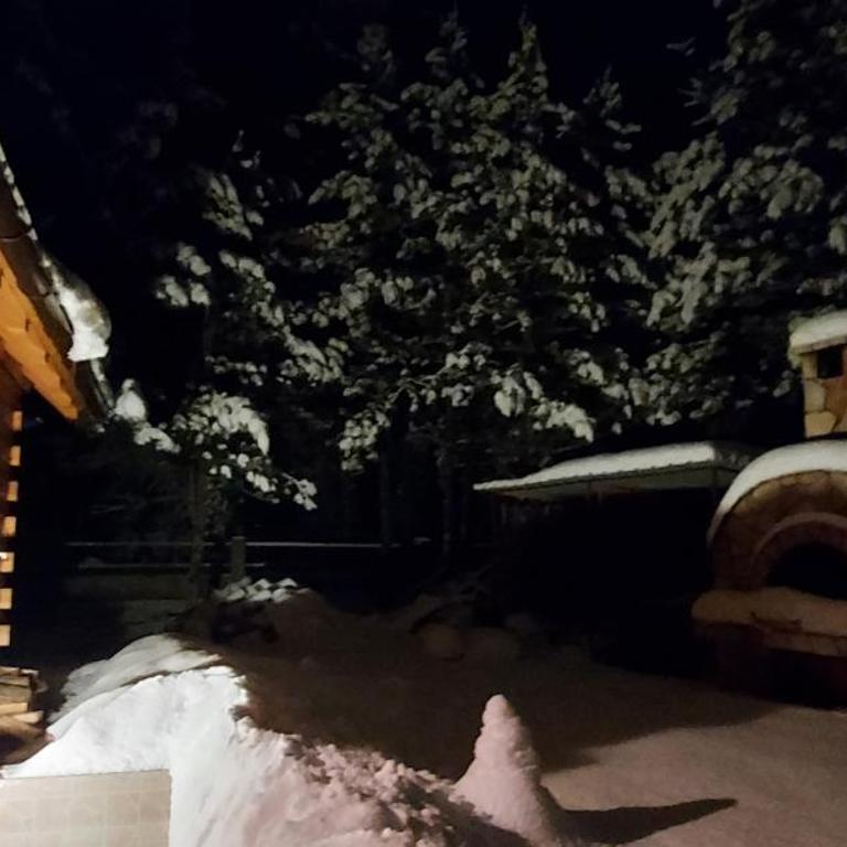 Cabin House Hidden Nest - Vacation Home - 37