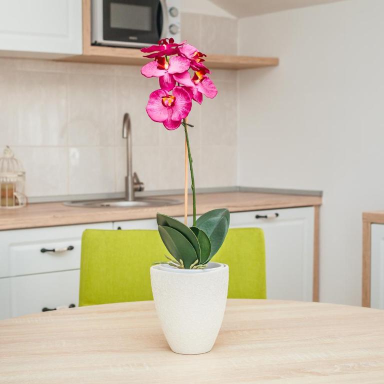 Apartments Batricevic - Two-Bedroom Apartment with Sea View Balcony and Sofa Bed (7 Adults) - 14