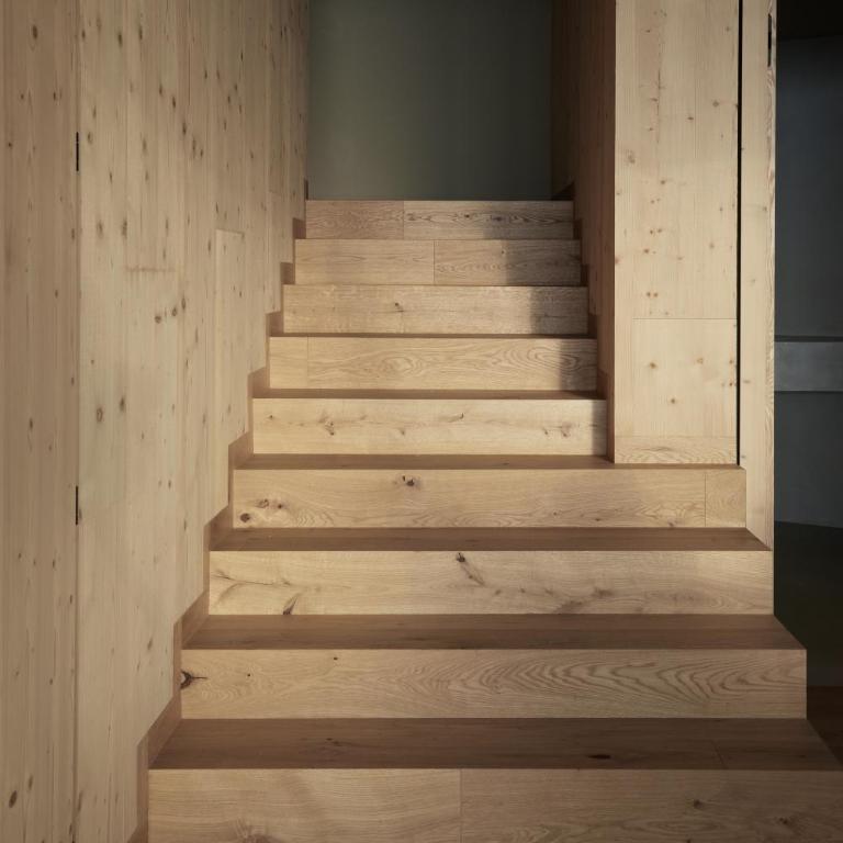 Forestis Dolomites - Suite Presidenziale - 1