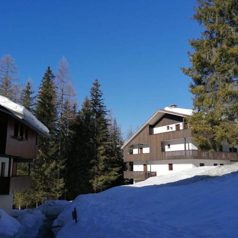Wonderful Attic in Dolomite's Heart - Appartamento con 2 Camere da Letto - 1