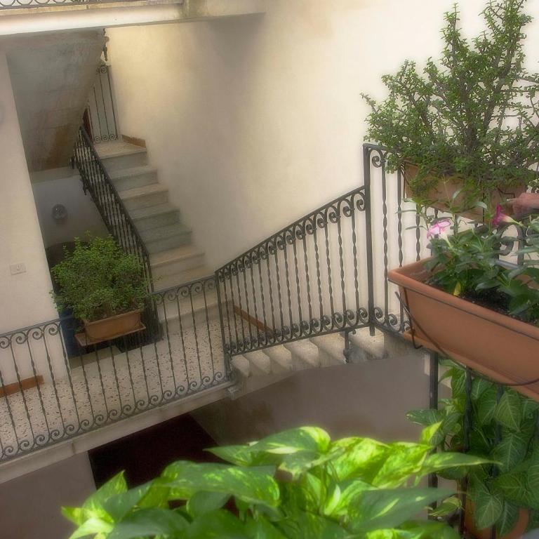 Primo Piano Riccio Locazione Turistica - Appartamento - 18