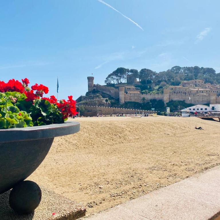 VIDABRAVA, Tossa Medievo, apartamento a 150 m de la playa - Apartamento con balcón - 23