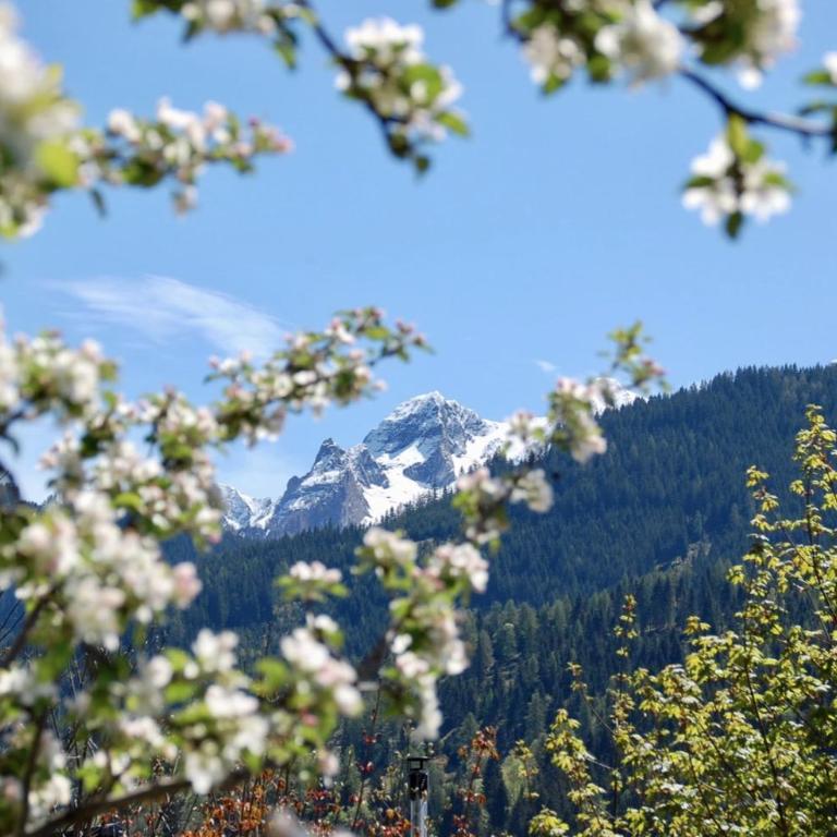 Landhaus Bergner Alm - Apartment mit Blick auf die Berge - 4