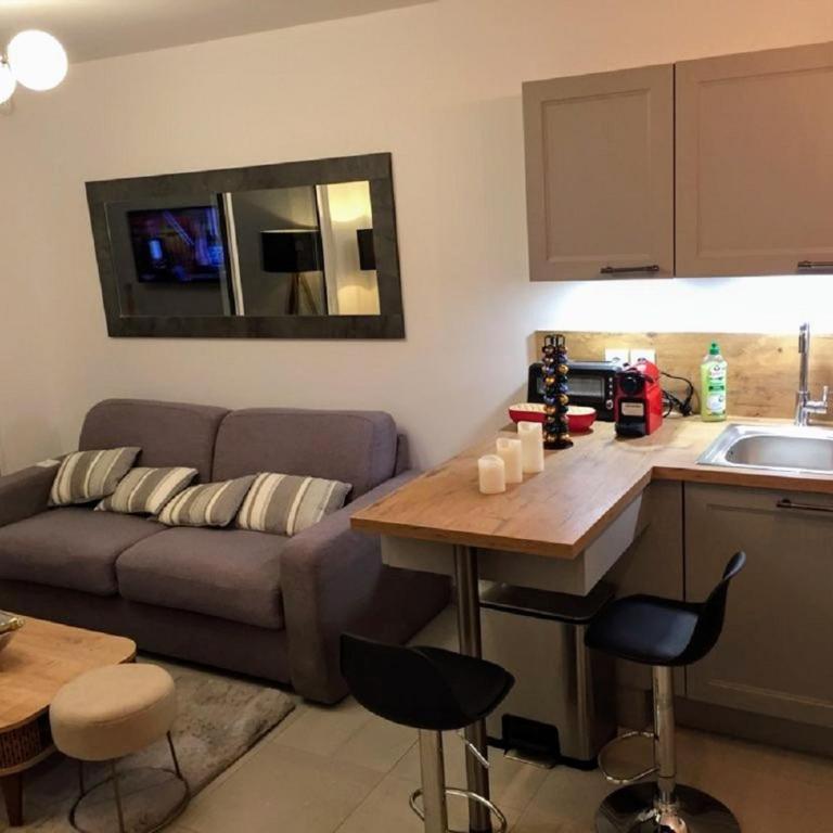 Moderne T2 avec garage ,très calme avec jardin privé et piscine, à 400m du centre ville et des plages, WIFI remise supplémentaire de 10 pourcent pour une location à la semaine - Appartement 1 Chambre - 10