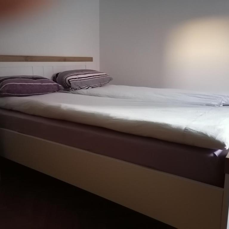 Andreja apartman 2 (jednosobni app -50m2) - Apartman - 12