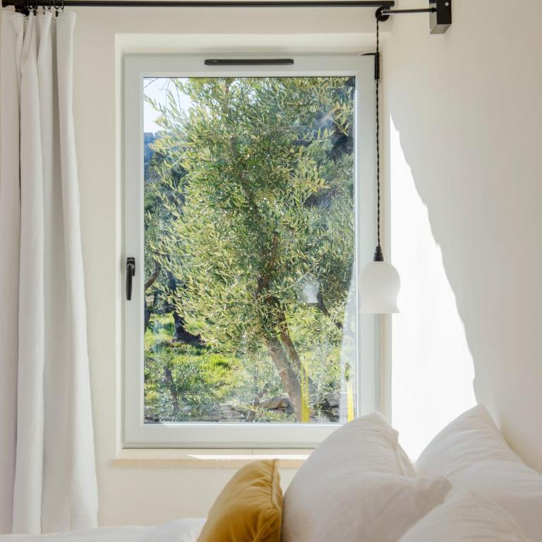 Les Milles Roches - Habitación Doble con terraza - 1 o 2 camas - 16