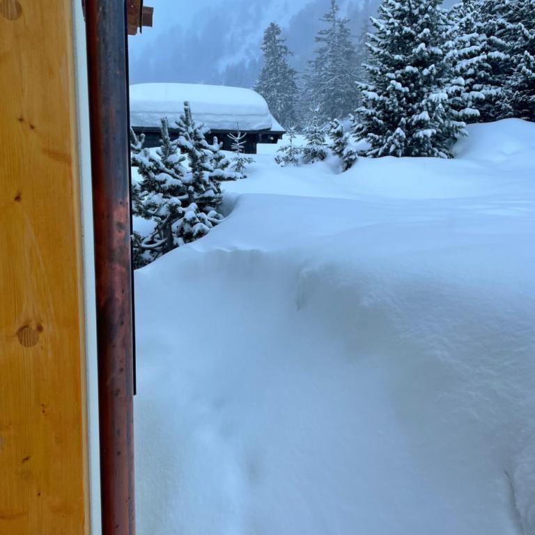 Chalet Michele Alpage - Ferienhaus - 69