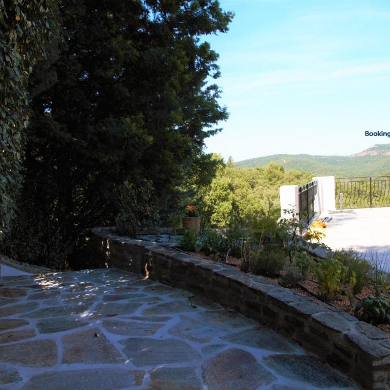 Les Romarins - Villa - 31