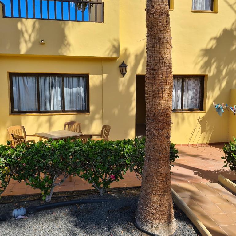 Oasis Royal F217 - Apartamento de 2 dormitorios - 2