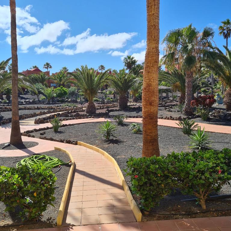Oasis Royal F217 - Apartamento de 2 dormitorios - 4