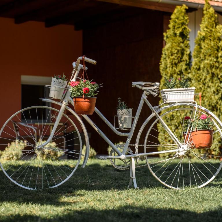 DuMalux Garden - One-Bedroom Apartment - 15