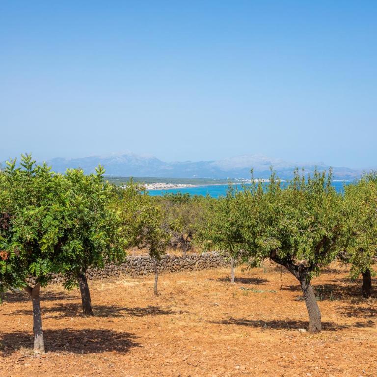 Finca Ca`n Jaumí, un paraíso con vista al mar y a la montaña - Villa de 3 dormitorios - 37