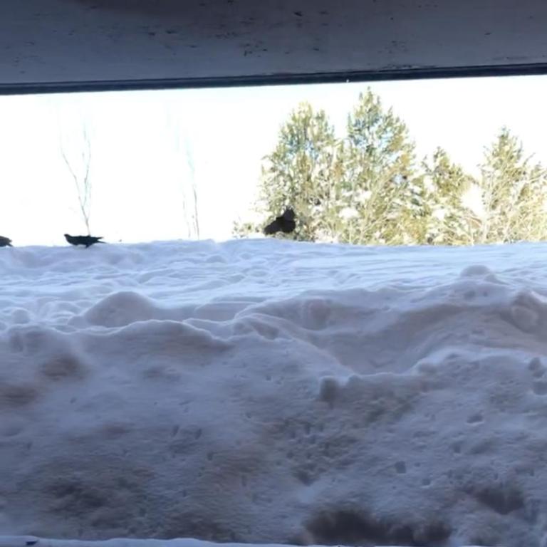 Bienvenue chez nous - Studio - Vue sur Montagne - 22