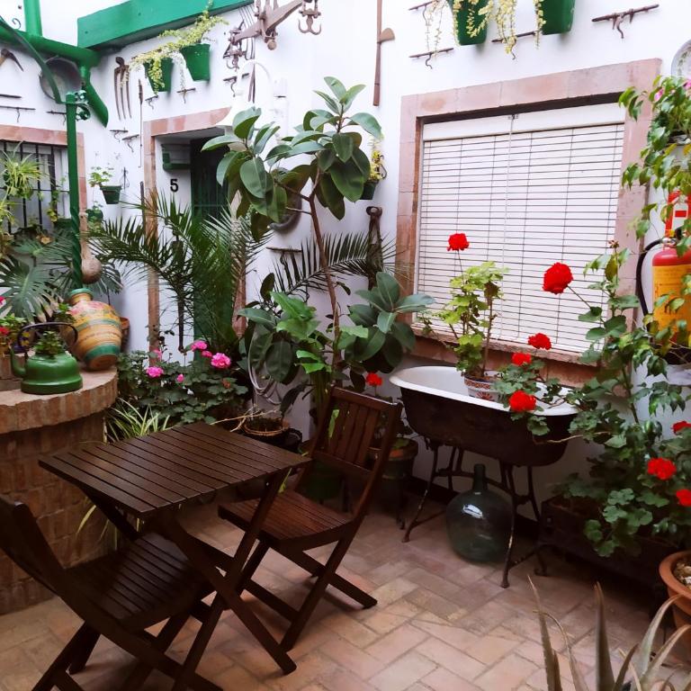 Casa Museo Jerez Centro - Apartamento de 1 dormitorio - 77