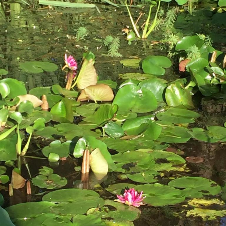 Ranchito Macondo - Two-Bedroom House - 31