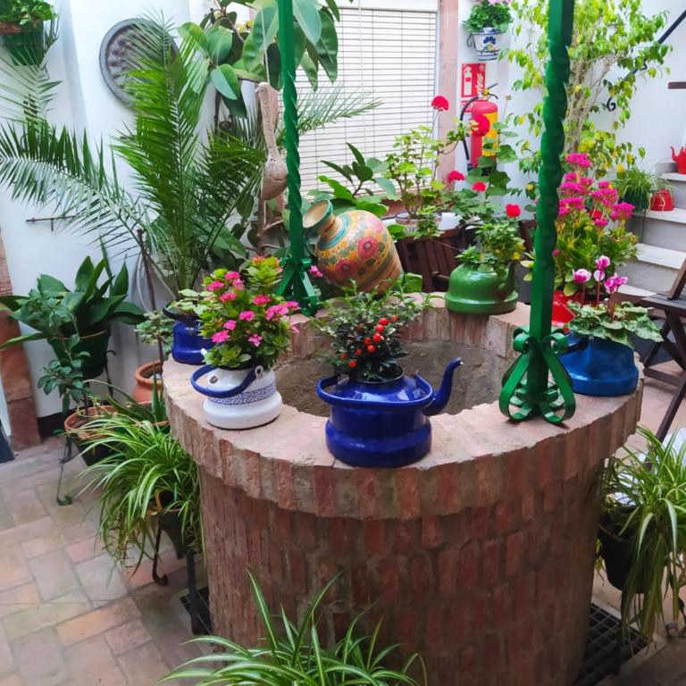 Casa Museo Jerez Centro - Apartamento de 1 dormitorio - 43