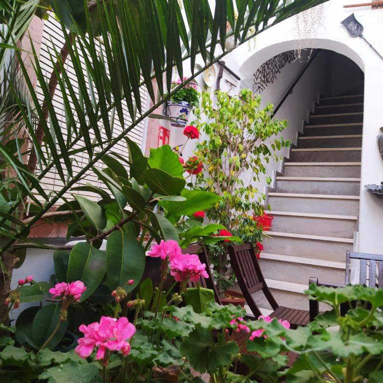 Casa Museo Jerez Centro - Apartamento de 1 dormitorio - 78