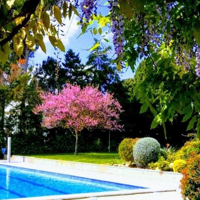 Stil Mar Anna Sol - by Apartamentos Stil Mar Anna - Apartamento de 2 dormitorios con vistas al jardín - 1