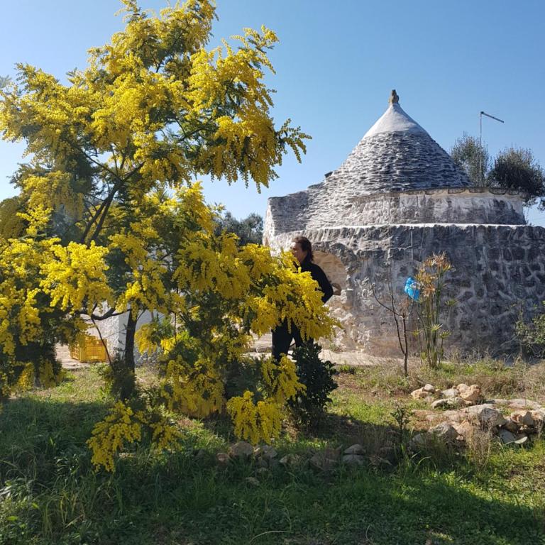 Trullo magico - Appartamento con 1 Camera da Letto - 15